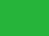 Eventide Green Color Chip